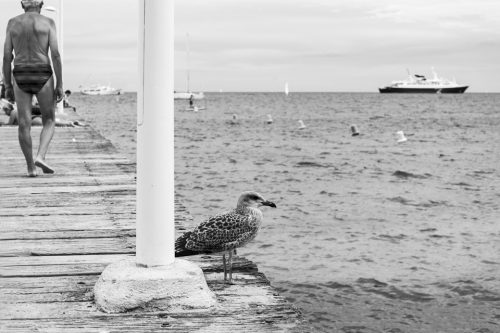 16-bord-de-mer-4348-1OK