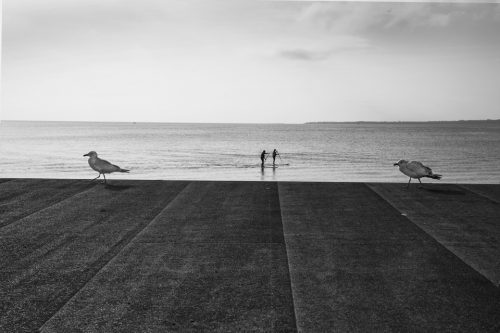 17-bord-de-mer-3286-OK