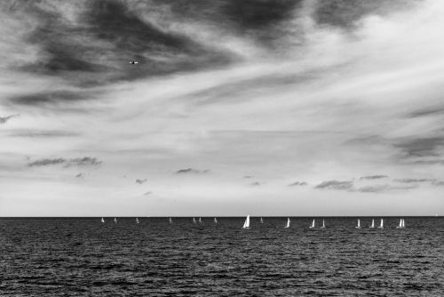 5-regate-antibes-0335-tire-ok