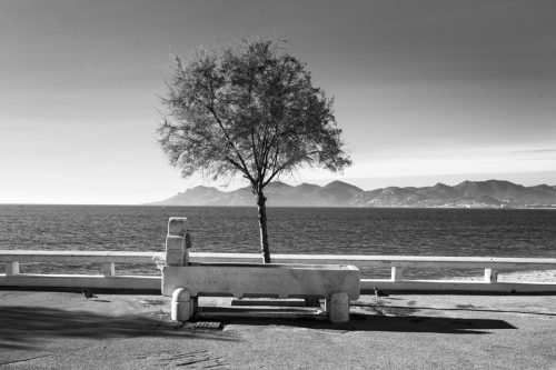 6-bord-de-mer-cannes-3804-tire-ok