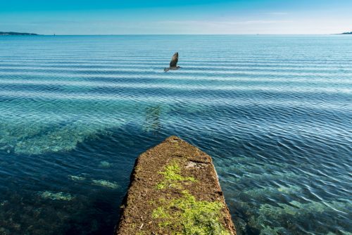 11-bord-de-mer-10877-ok