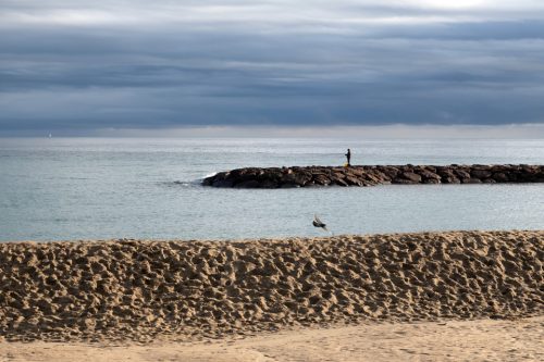 42-bord-de-mer-mandelieu-2302