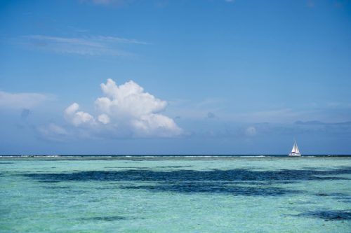 49-ile-aux-benitiers-5788-ok