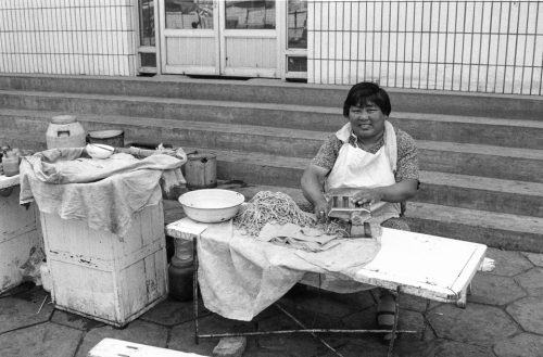 14-13-010608 12A-fabrique-pates-chinoise-copie