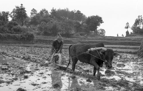 20-2005-05-chine-419-copie