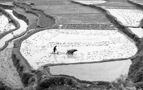 21-2005-05-chine-490-copie