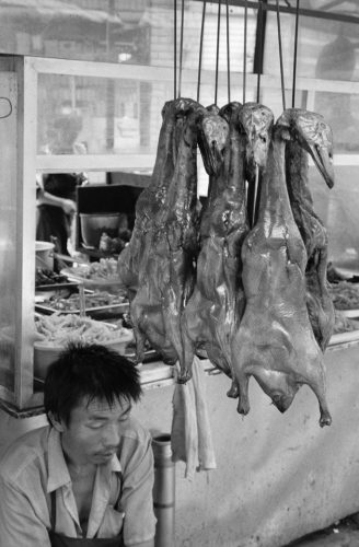 45-2005-05-32-canard-laque-copie