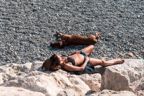 001-vue-de-dessus-10620