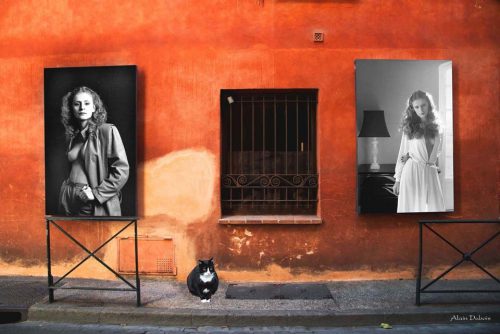 inclusions-16-michele-70-perpignan-14565-OK