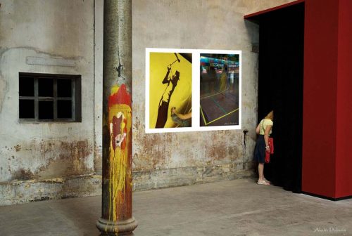 inclusions-25-curieuse-vivi-ok