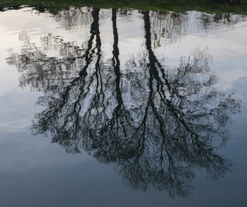 1-reflets-hiver-5140-copie