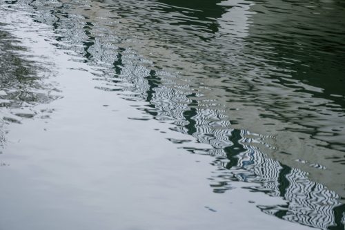 10-jardin-dhiver-siagne-2418-copie