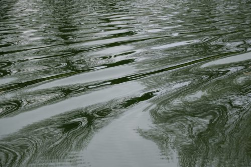 11-jardin-dhiver-siagne-2438-copie