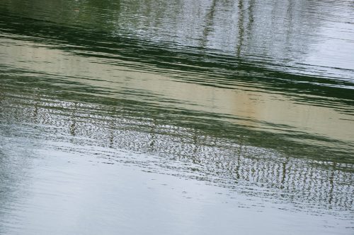 12-jardin-dhiver-siagne-2439-copie