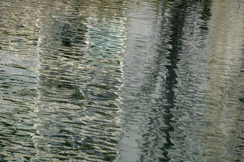 13-jardin-dhiver-siagne-2430-copie