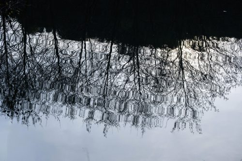 14-jardin-dhiver-lecluse-2287-copie