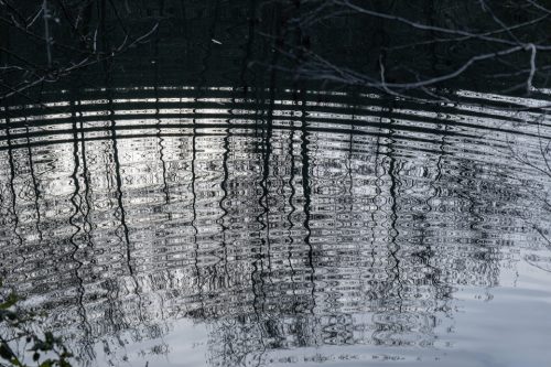 15-jardin-dhiver-lecluse-2369-copie