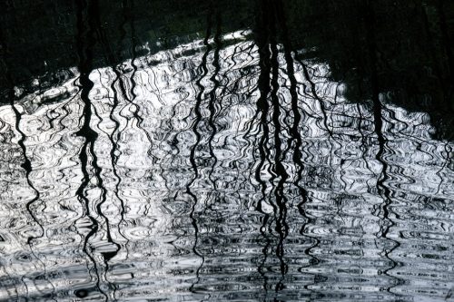 16-jardin-dhiver-lecluse-2372-copie