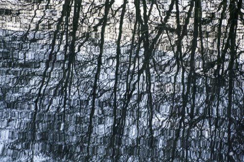 17-jardin-dhiver-lecluse-2306-copie