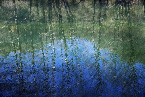 18-jardin-dhiver-lecluse-6182-copie