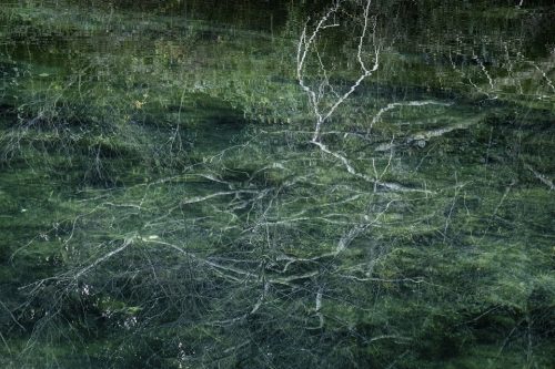 19-jardin-dhiver-lecluse-2352-copie