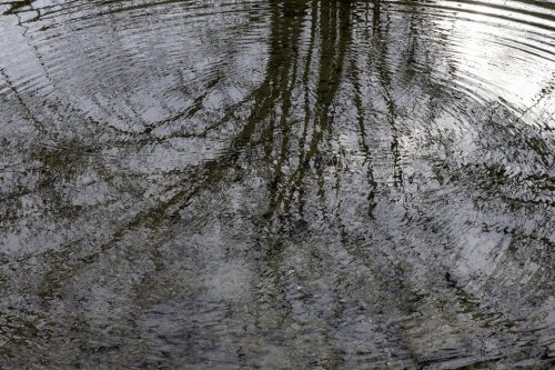 2-reflets-5056-copie