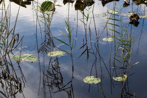 23-jardin-dhiver-lecluse-1212-2-copie