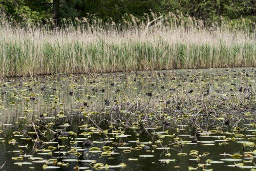 24-fontmerle-13720-copie-copie