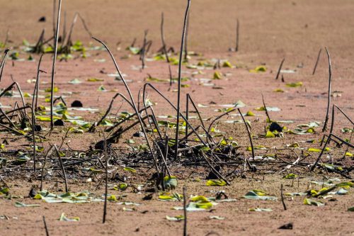 27-jardin-dhiver-3640-copie