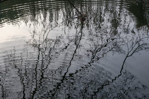 3-jardin-dhiver-lecluse-2382-copie