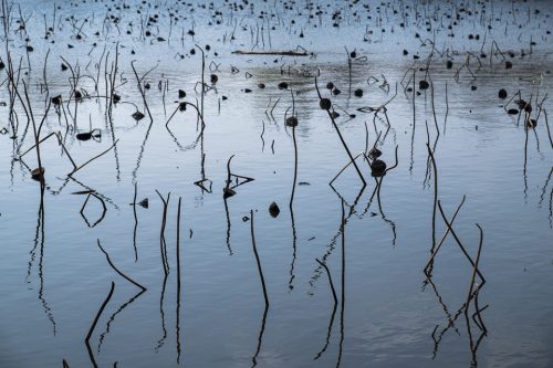 34-fontmerle-3768-copie-copie