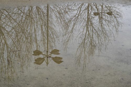 38-jardin-dhiver-2100-copie-copie