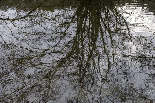 4-reflets-5053-copie