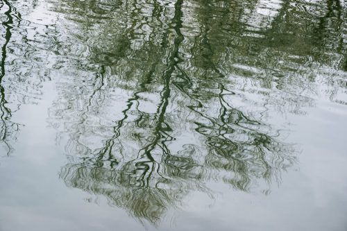 5-jardin-dhiver-siagne-2421-copie