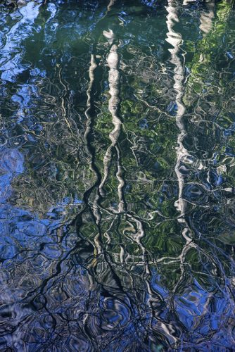 8-jardin-dhiver-lecluse-6177-copie