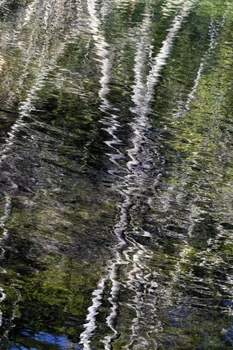 9-jardin-dhiver-siagne-2415-copie