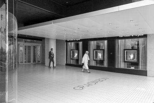 17-gray-dalbion-6267-NB