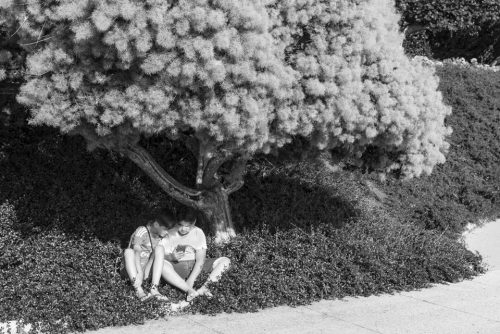 34-la-rue-telephone 6004-OK