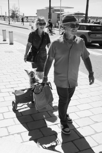 54-la-rue-chien-5589-copie