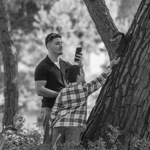 56-la-rue-ecureuil-1114