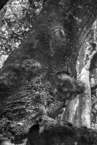 25-black-river-6765-copie