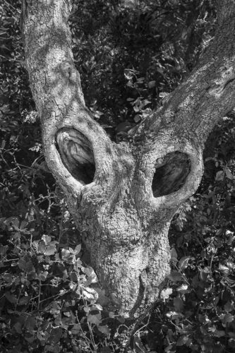 32-porquerolles-11222