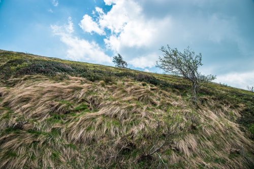 18-col-de-tende-11448-OK-copie