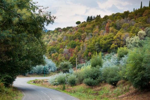 20-la-roquette-5286-2-ok-copie