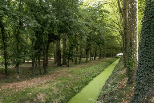 22-chenonceau-10091-OK-copie