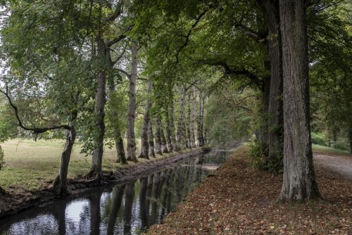 23-chenonceau-10090-OK-copie