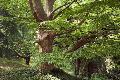 26-botanique-taranto-ok-copie