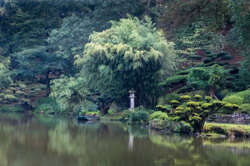 27-jardin-orientale-malauvriere-4258 1-ok-copie