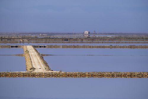 35-salin-de-giraud-1894-copie