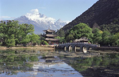 38-parc-dragon-noir-lijiang-yunan-ok-copie